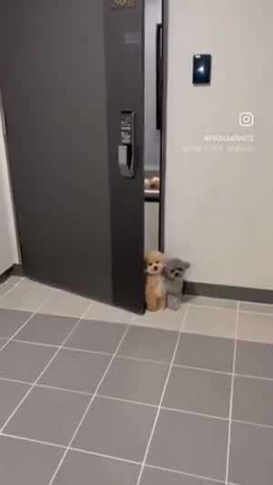 퇴근이 기다려지는 이유