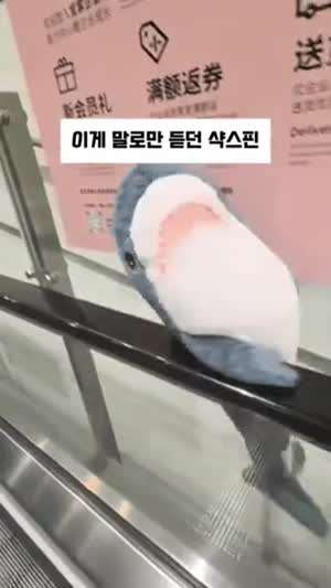 말로만 듣던 샥스핀