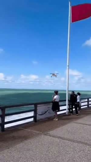 미션 임파서블 : 에이전트 갈매기