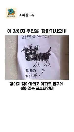 이 강아지 주인은 찾아 가시오