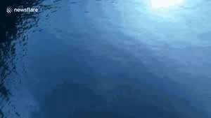 아 날씨 좋다 로로로롤로롤롤롤롤로롤롤로롤롤롤롤