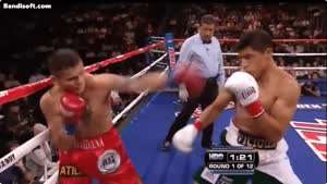 슬로우로 봐야 보이는 프로복서의 주먹