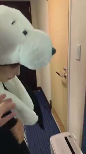 AV 배우 모모노기 카나 은퇴 인사글 보기