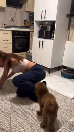 이노무 개새끼 발정난거야