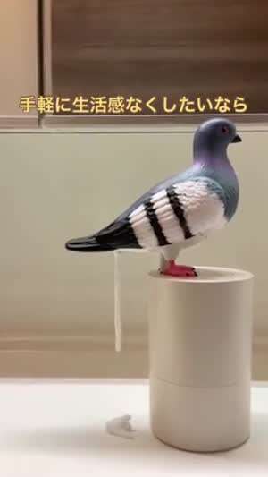 비둘기 물비누 디스펜서