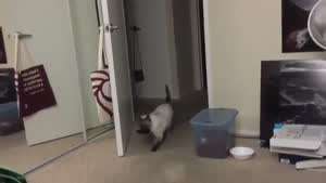 쥐새끼 한마리 잡아와써효!!