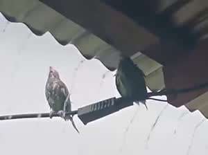 삐졌냐?... 그만 퉁파고 들어가자!!