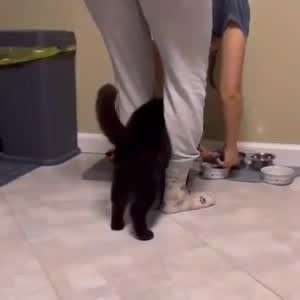 짜아식 성쥘머리하곤...