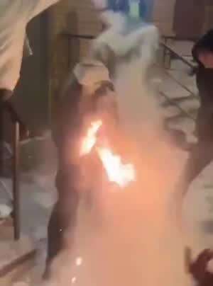 싱글벙글 불곰국 생일빵 .mp4