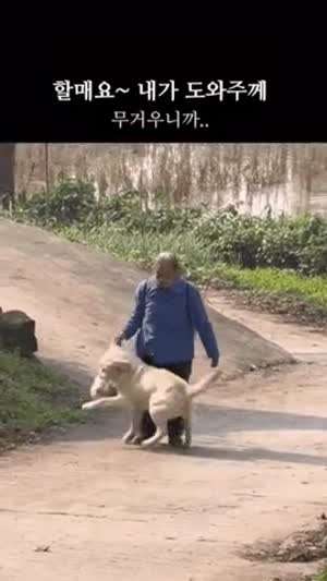 할머니 무거운거 제가 들게요.