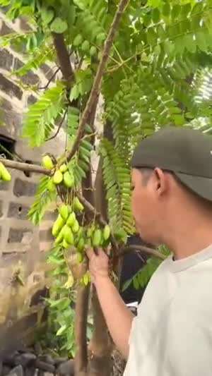 소리] 이게 뭔데 그렇게나 맛있게 먹어?.mp4