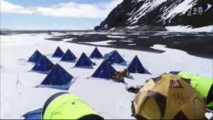 손님 구경하러 온 동네 주민들.mp4