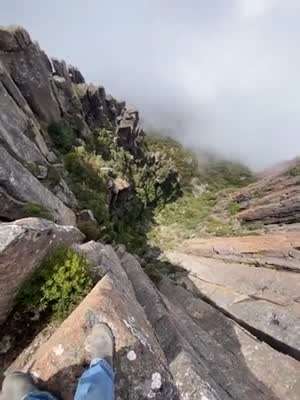 사내놈들이 빨리 죽는다고들 하잖여...