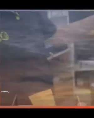 폐급 신입 아이스크림 알바