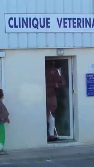 동물 병원 몰카