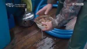 [한국인의 밥상] 새우라면