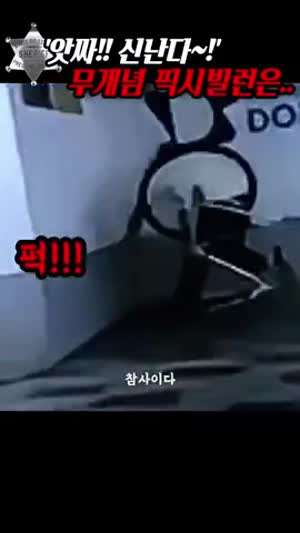 스스로 참교육 당하는 픽시빌런