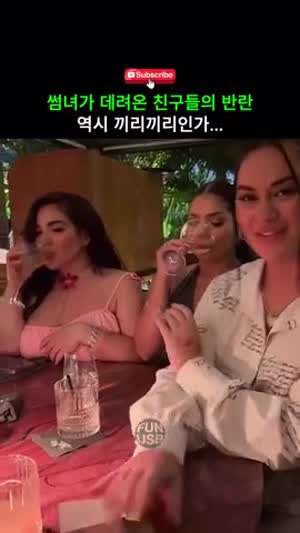 역시 끼리끼리 놀구 자빠졌네