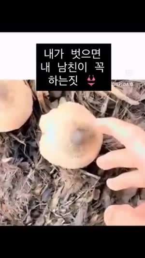 내가 벗으면 내 남친이 하는 짓