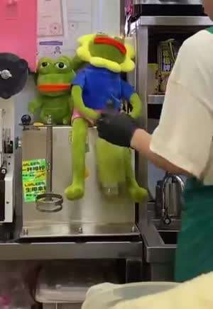 쉼없이 밥값하는 개구리 페페