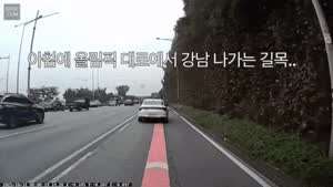 실시간 끼어들기 단속 현장