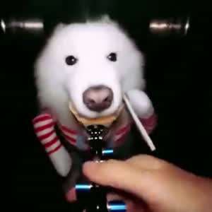 꽉 물고 존나 달려!!!