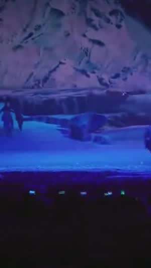 요즘 연극에서 늑대를 연출하는 방법.mp4