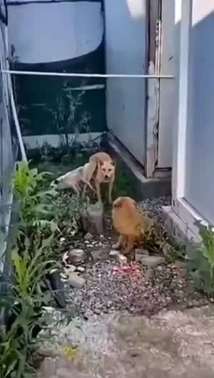 불륜 현장 발각