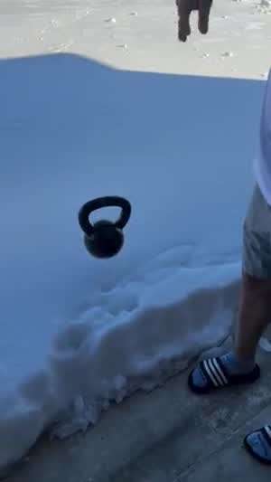 미국에 내린 눈 근황