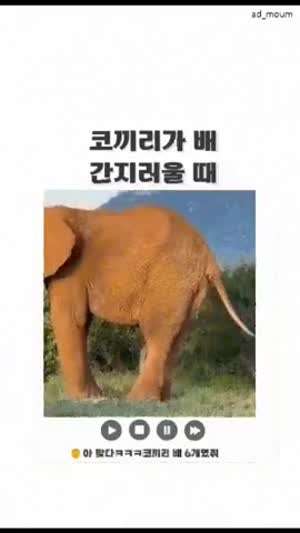 배 간지러울때