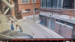 AI 시대 이전에 찍혀서 다행인 사건들.mp4