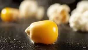 팝콘이 터지는 순간