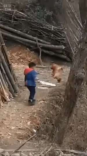 캐릭터 생성 후 바로 마을 밖으로 나간 뉴비