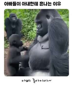 아빠들이 아내한테 혼나는 이유.