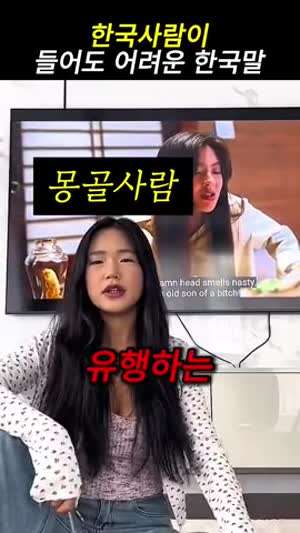 한국인도 못알아먹는 한국어