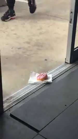 바닥에 떨어진 음식 함부로 먹으면 안 되는 이유