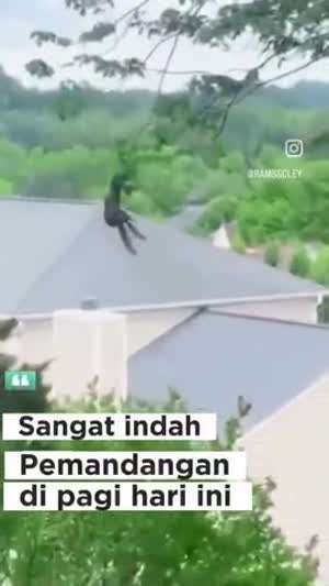 인도네시아 아침 풍경