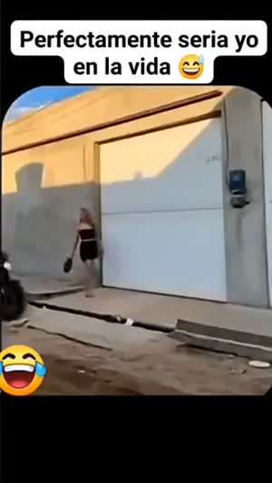 멕시코 조건반사