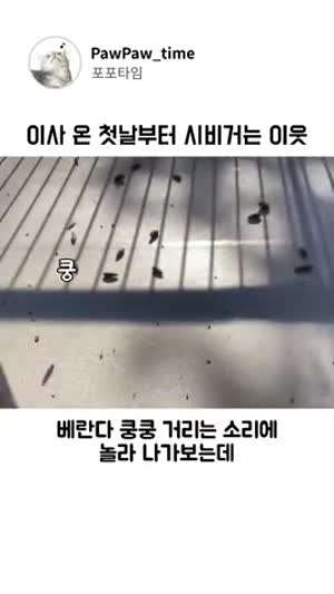 이사 온 첫날에 시비거는 이웃