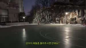 소리] 대형견 산책 알바중 주인이 부르면 일어나는일.mp4