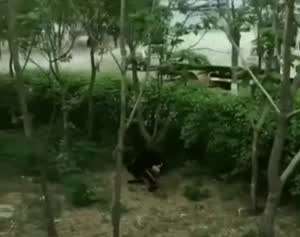 너무 강력한 비데