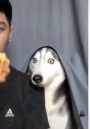 너는 시방 재밋냐? 치아뿌라!!