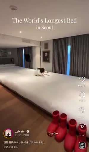 서울 홍대에 진짜로 있다는 세계에서 가장 긴.................