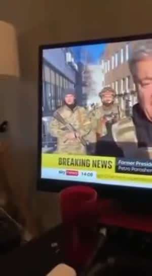 군필인 분들은 ㅈ됨을 공감하게되는 박제영상