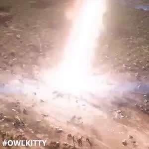 거기에 홀연히 나타난 야옹이 OwlKitty!!!!