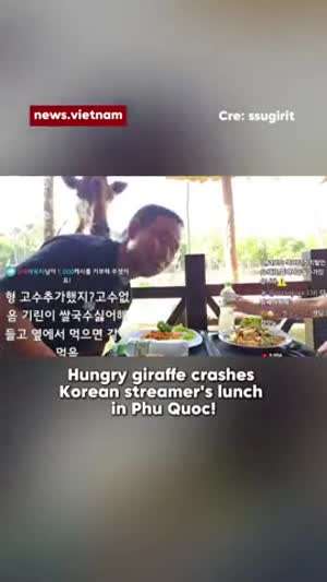 베트남 뉴스에 뜬 한국인 유튜버.mp4