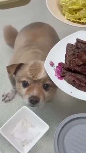 투명 식탁에서 밥 먹으면 안되는 이유