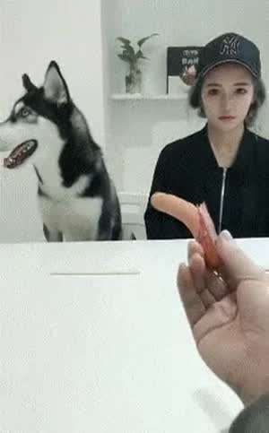 이거 먹고 떨어져!