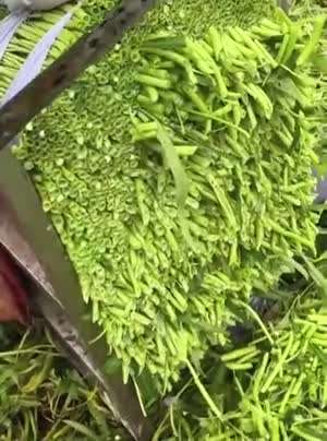 마음이 편안해지는 짤.mp4