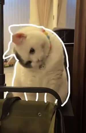 귀여움은 나의 몫